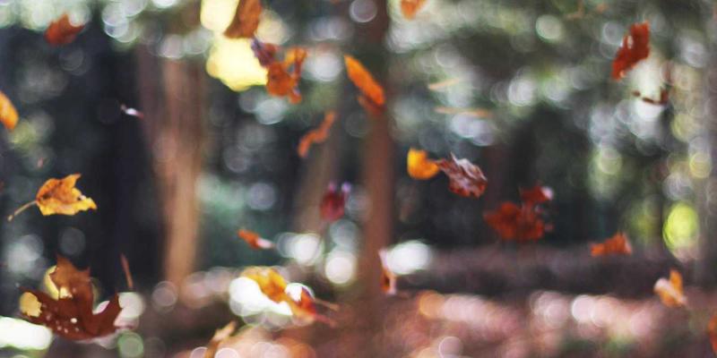 RKS Jewelry12：以定制手镯，诉说你的独特故事