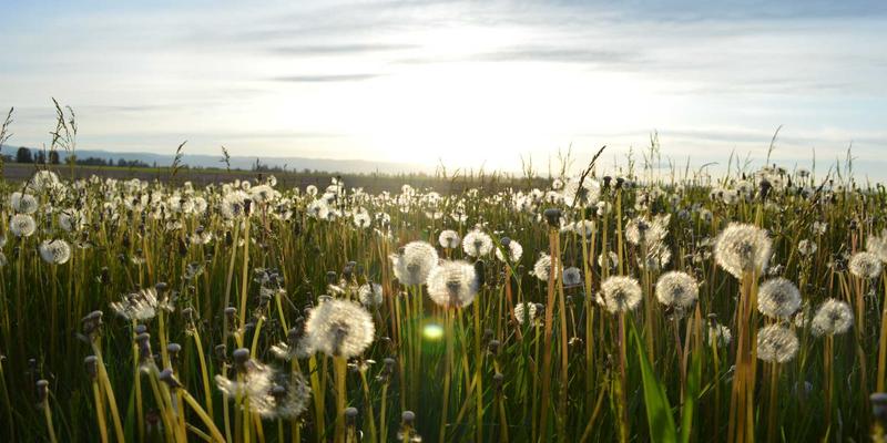 RKS Jewelry50：以定制珠宝与手镯，镌刻您独一无二的生命故事