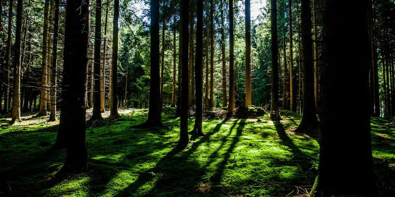 RKS Jewelry86: Elevate Your Style with Premium Earrings and Custom Jewelry