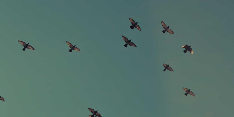 RKS Jewelry88: Elevating Elegance with Luxury Rings and Necklaces