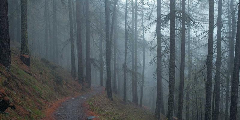 RKS Jewelry92:重新定义奢华,探索高级珠宝的艺术与灵魂