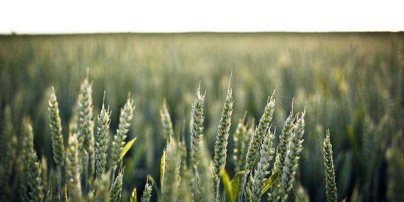 RKS Jewelry 高级珠宝修复与翻新：让传家宝重焕新生的艺术